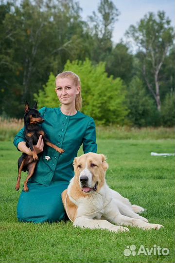 Услуги хендлера