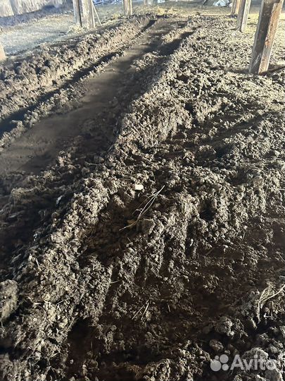 Навоз перегной