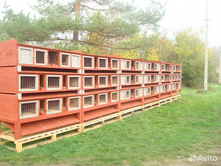 Клетки для кроликов. Новые