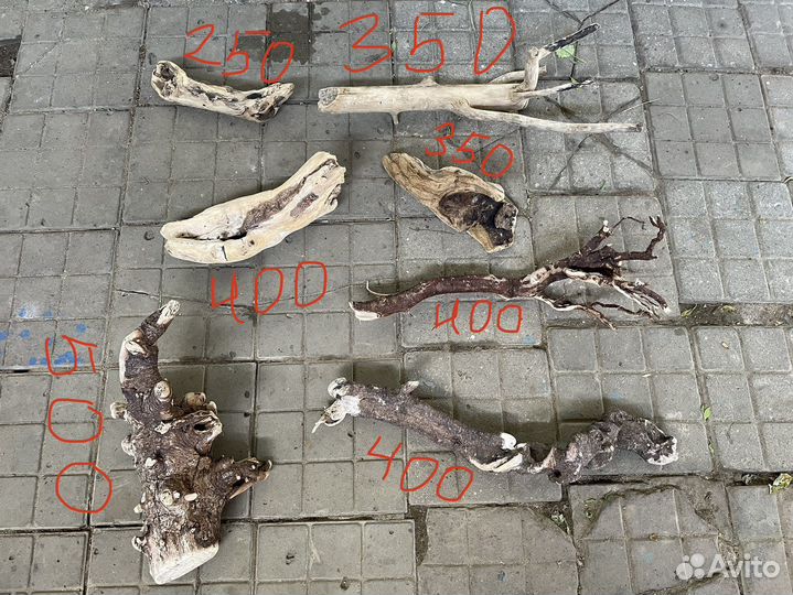 Коряги для аквариума и террариума