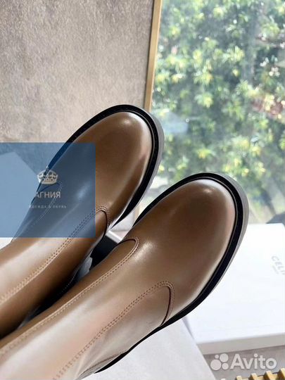 Ботинки Celine 2 цвета