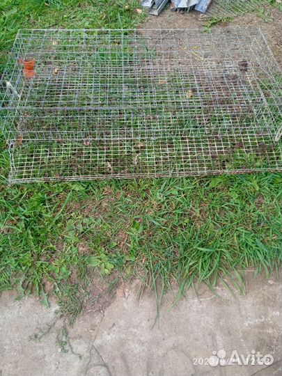 Клетки для перепелов