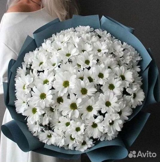 Хризантема