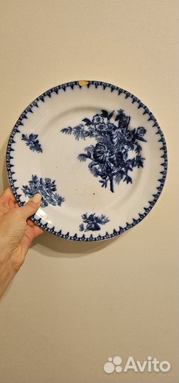 Тарелка Кузнецов в будахъ