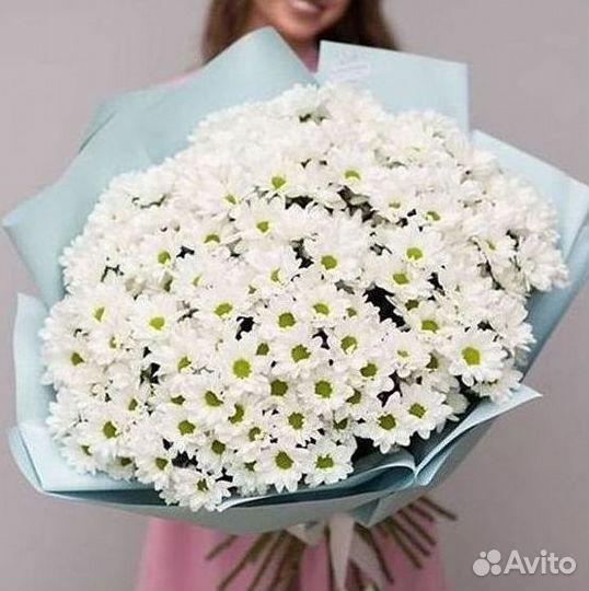 Хризантема Букет хризантем Доставка