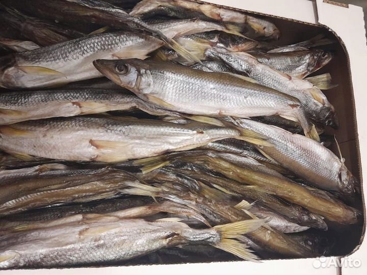 Корюшка вяленая