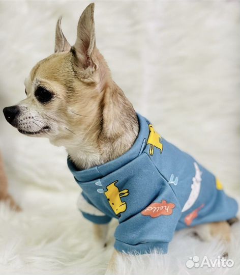 Толстовка для собак утепленная