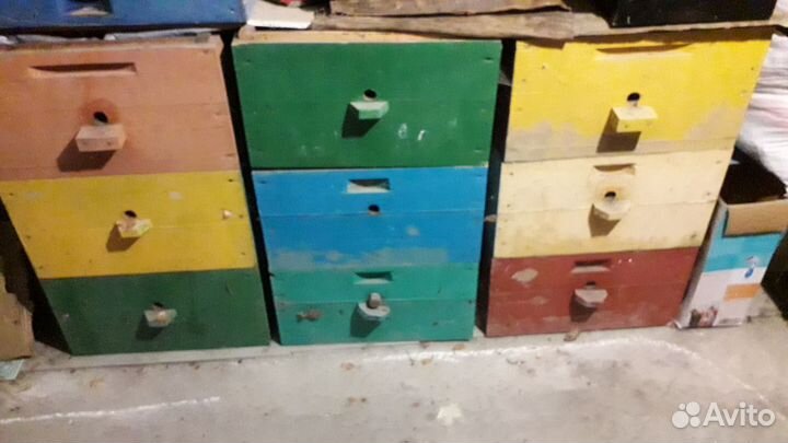 Улья, пчёлы