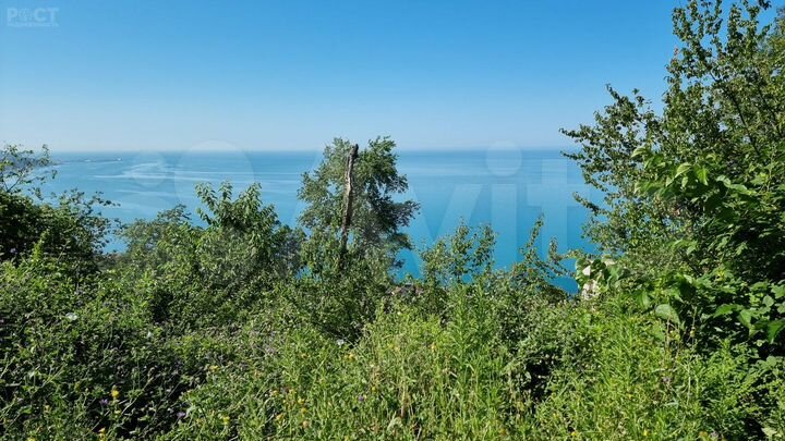 Участок 4,6 сот. (СНТ, ДНП)