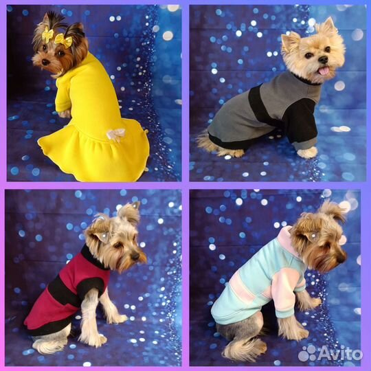 Одежда, обувь для собак,кофточки, футболки, платья
