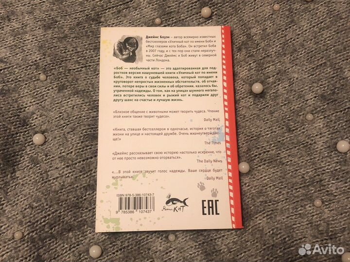 Боб-необычный кот