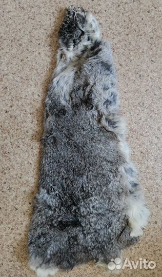 Шкурки кролика