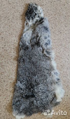 Шкурки кролика