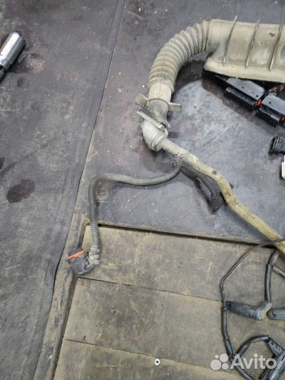 Моторная проводка x20dth opel vectra b