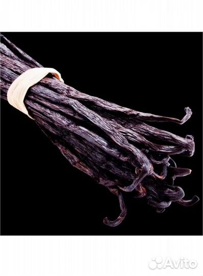 Yodeyma Парфюмерная вода женская yodeyma adriana