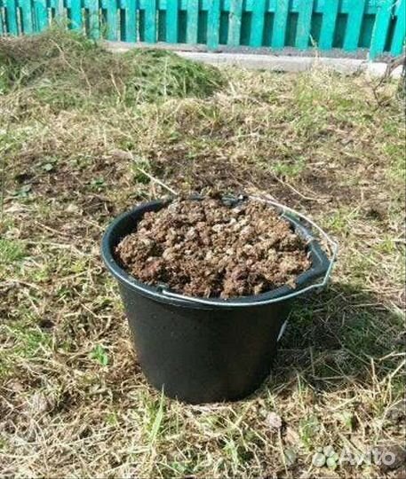 Перепелиный помет