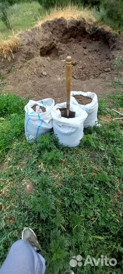 Навоз прелый коровий,чернозем камаз 15т,ЗИЛ,газель