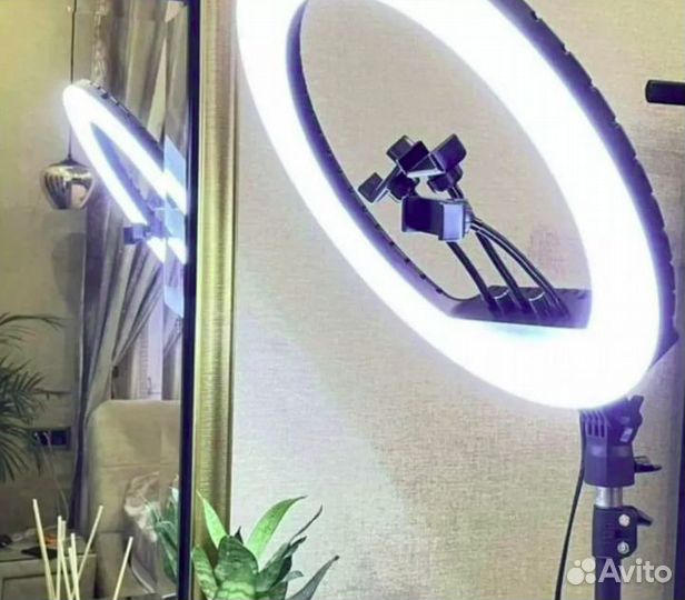 Кольцевая Лампа