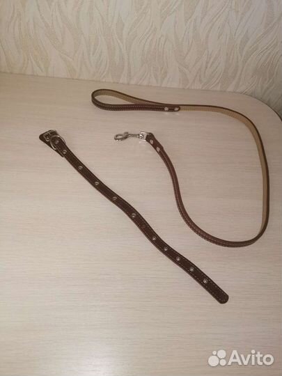 Поводок для собак