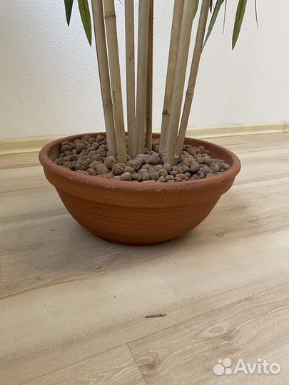 Искусственное дерево Бамбук 2,52см