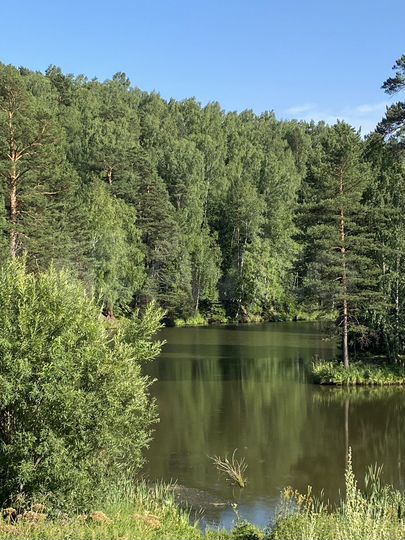 Дача 160 м² на участке 11 сот.