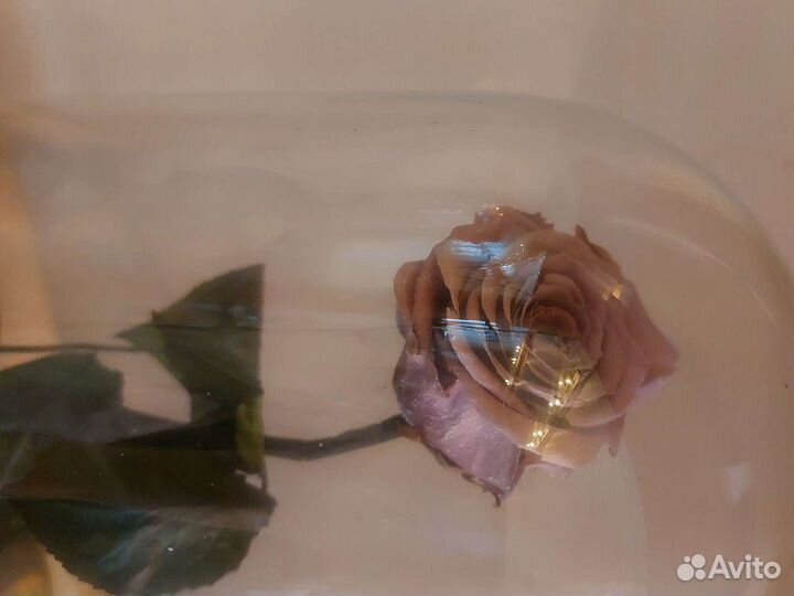 Вечная роза в колбе подарок на 8 марта