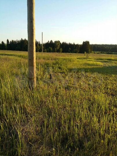 Участок 10 сот. (ИЖС)