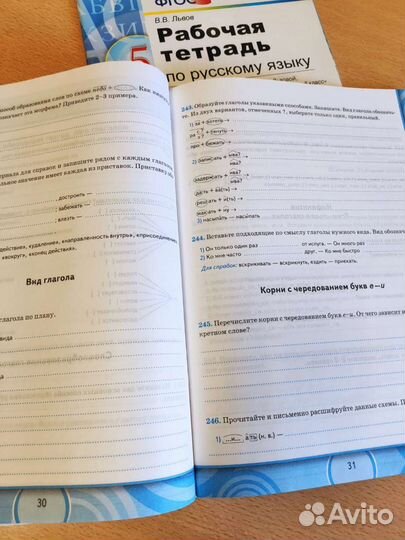 Рабочие тетради, учебники 5-6 класс