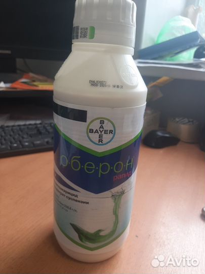 Оберон, Оберон Рапид