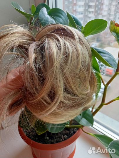 Шиньон,хвост на крабе