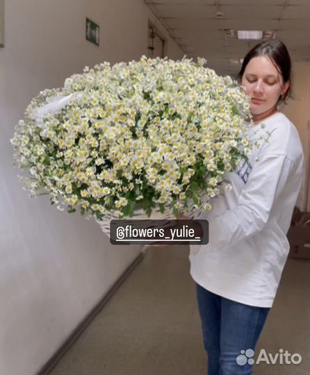 Ромашка, корзина из ромашек, цветы букеты