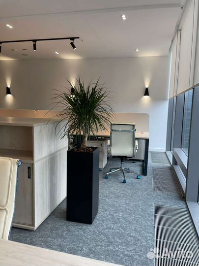 Кашпо-перегородка в офис