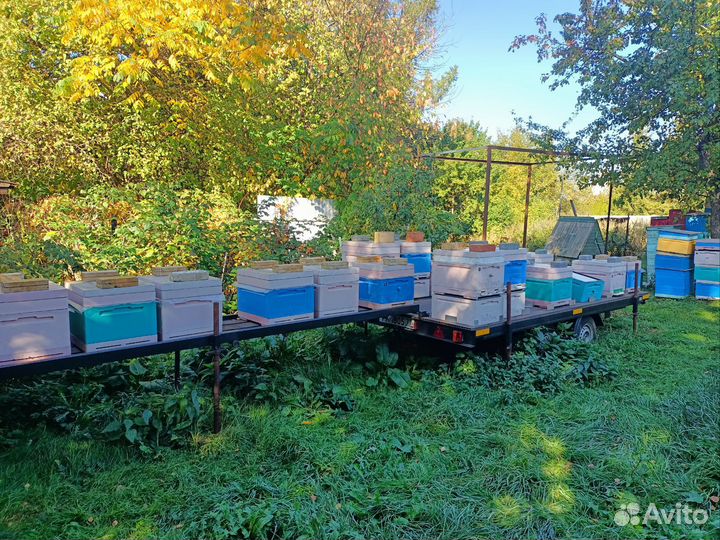 Прицеп для перевозки пчёл на 24 улья за 150.000