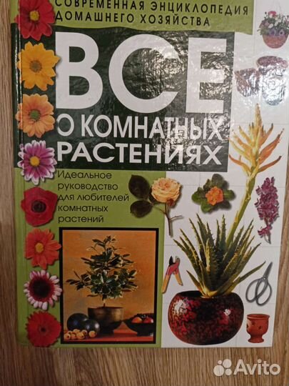 Современная энциклопедия домашнего хозяйства