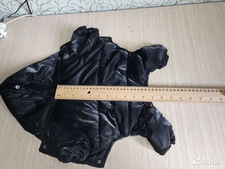 Одежда для собак мелких пород