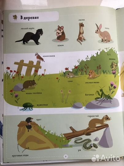 Книга «Я знаю 100 животных»