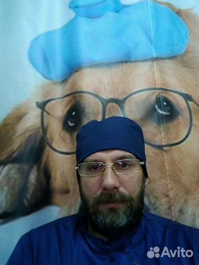 Ветеринарная клиника 