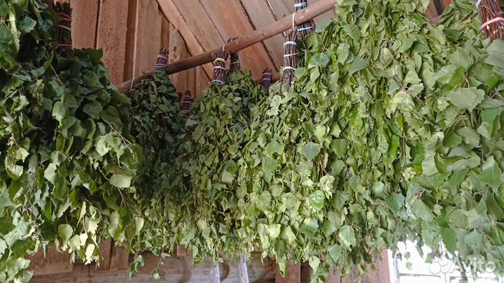 Веники для бани