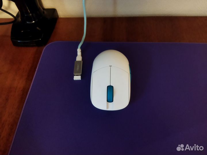 Lamzu atlantis og v2