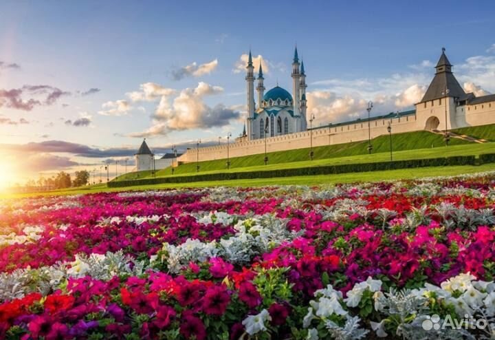 Экскурсии по Казани. Гид. Экскурсовод