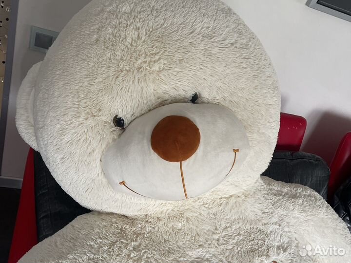 Плюшевый медведь