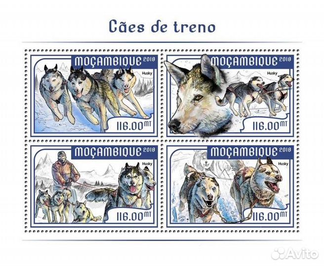 Мозамбик, 2018. (moz18225) Фауна, ездовые собаки