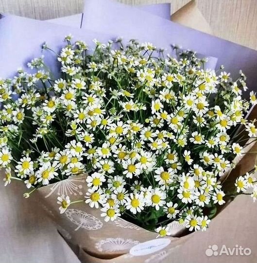 Ромашки Букет из ромашек доставка