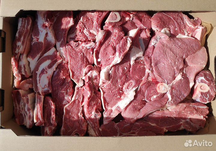 Мясо говядина - телятина