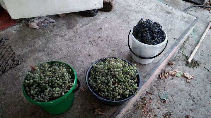 Дача 55 м² на участке 5,5 сот.