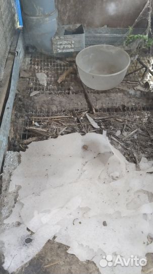 Клетка для кроликов