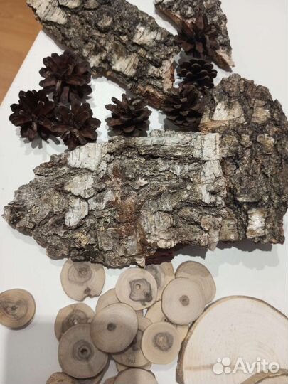 Кора дерева природный декор