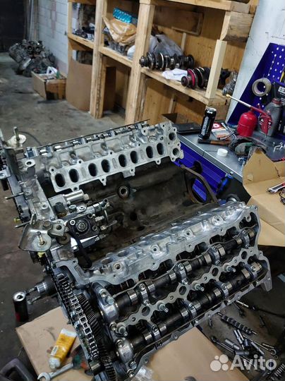 Двигатель 1vdftv / гарантия 50000км