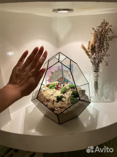 Ваза стеклянная для флорариума (суккуленты)