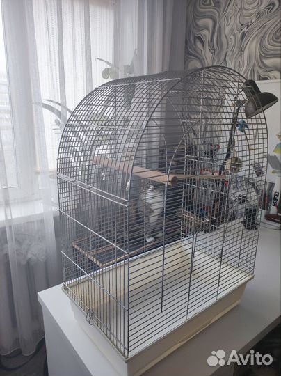 Клетка для попугая бу
